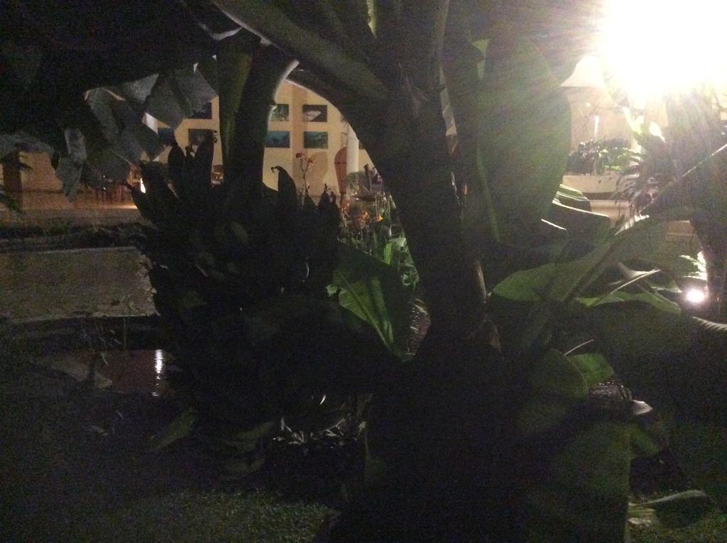 Villa Costa Plenty Sanur Exterior foto